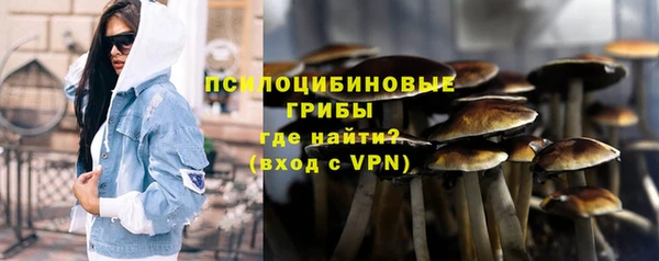 apvp Нефтекумск