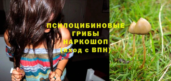 apvp Нефтекумск