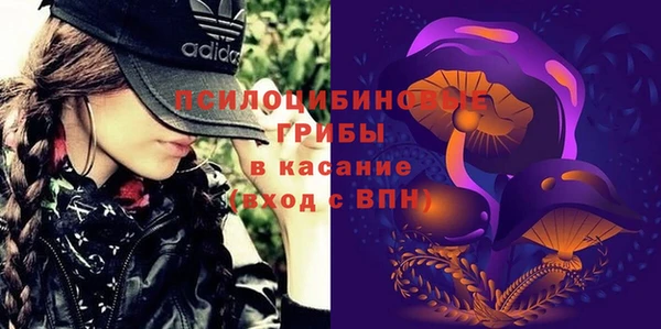 крисы Нея