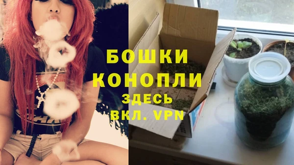 крисы Нея
