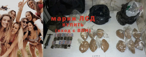крисы Нея