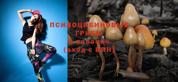 крисы Нея