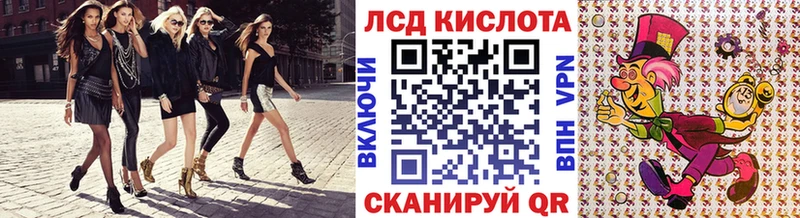 дарк нет как зайти  Свободный  Марки N-bome 1,5мг 