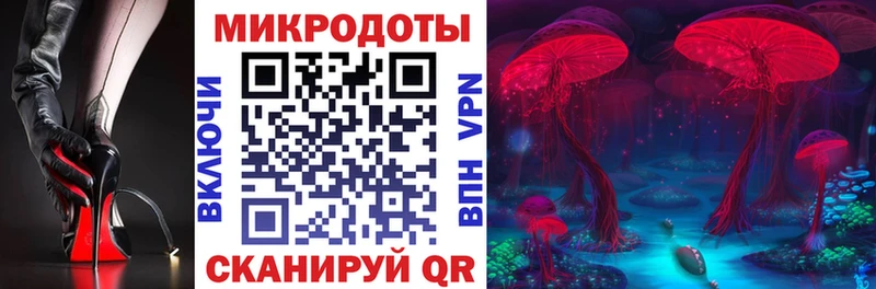Галлюциногенные грибы Cubensis  Свободный 