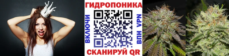 Марихуана Amnesia Свободный