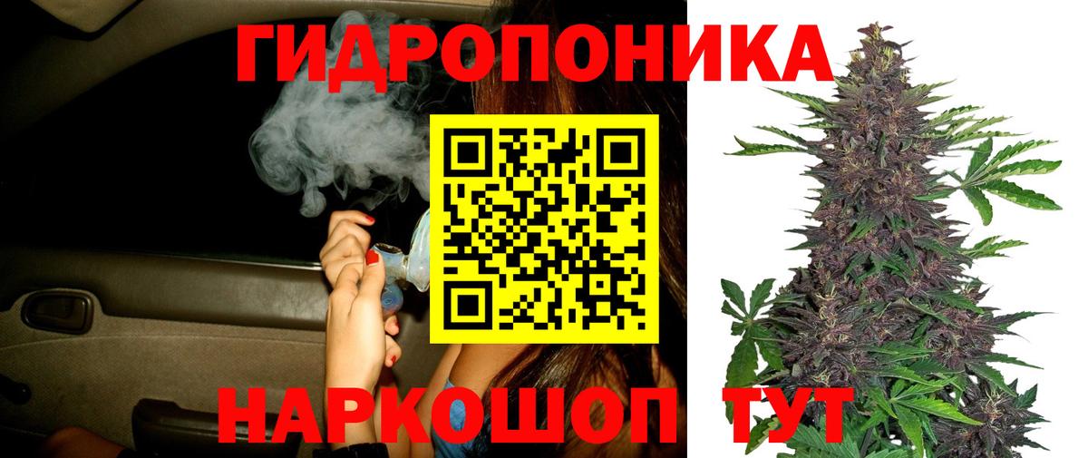 Шишки марихуана семена Свободный